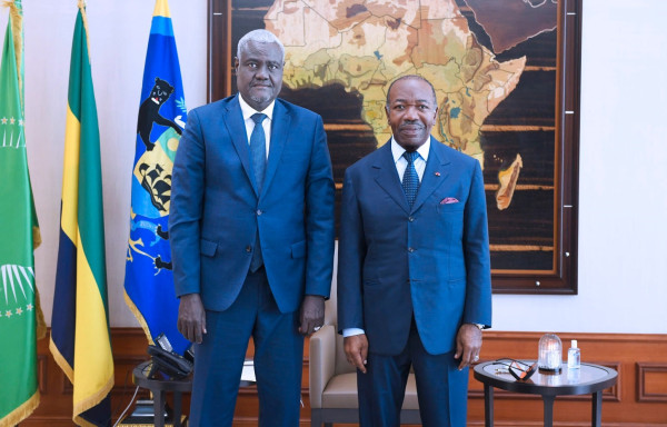 ABON-UA : Moussa  FAKI MAHAMAT reçu au palais