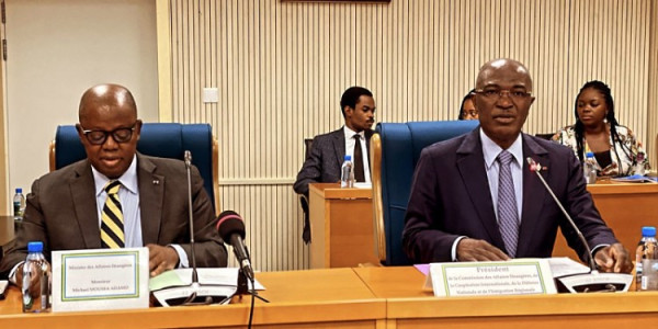 GABON : Michaël Moussa Adamo auditionné par la Commission des Affaires Étrangères, de la Coopération Internationale et de la Défense