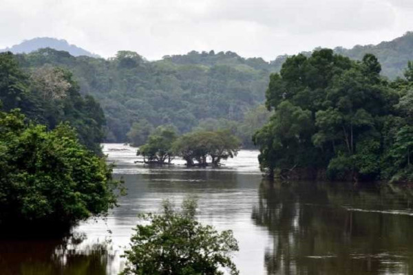 GABON : Libreville accueille la Semaine africaine du climat en prélude à la COP27