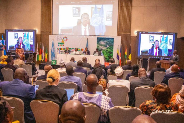 DIPLOMATIE : Les pays d’Afrique centrale appelés à investir dans la formation et l’emploi des jeunes (17e réunion de la FAO)