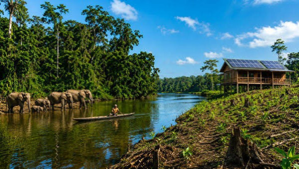 DIPLOMATIE ENVIRONNEMENTALE : Kunming-Montréal : le Gabon valide sa stratégie nationale pour la biodiversité