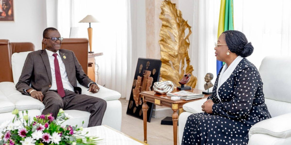 DIPLOMATIE PARLEMENTAIRE : Le Sénat entend renforcer son engagement au sein de l’Union parlementaire africaine