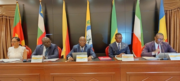 DIPLOMATIE : Vers un système d’information énergétique commun dans l’espace CEMAC pour renforcer la planification régionale